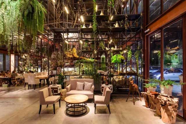 餐厅设计 | 绿植环绕，这是餐厅还是盆栽店？
