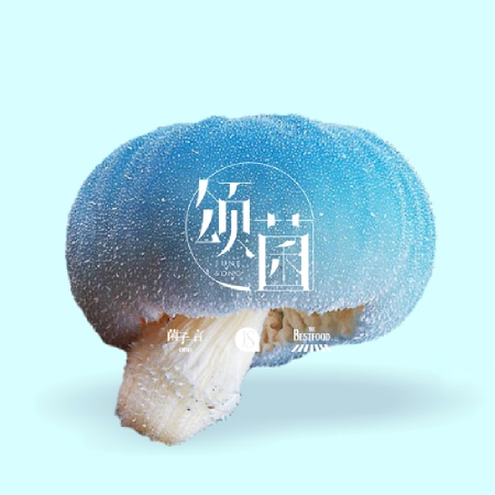 颂菌 - 云南野生菌火锅品牌设计